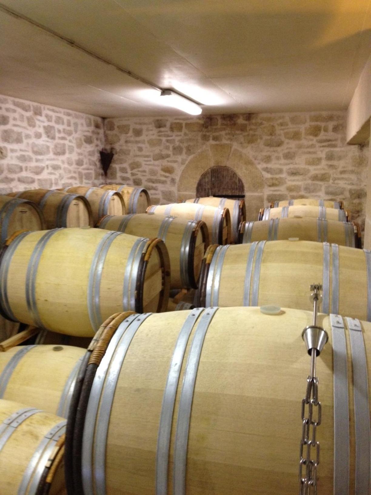 Chateau De Valloubiere Saint-Jean-de-Fos Buitenkant foto