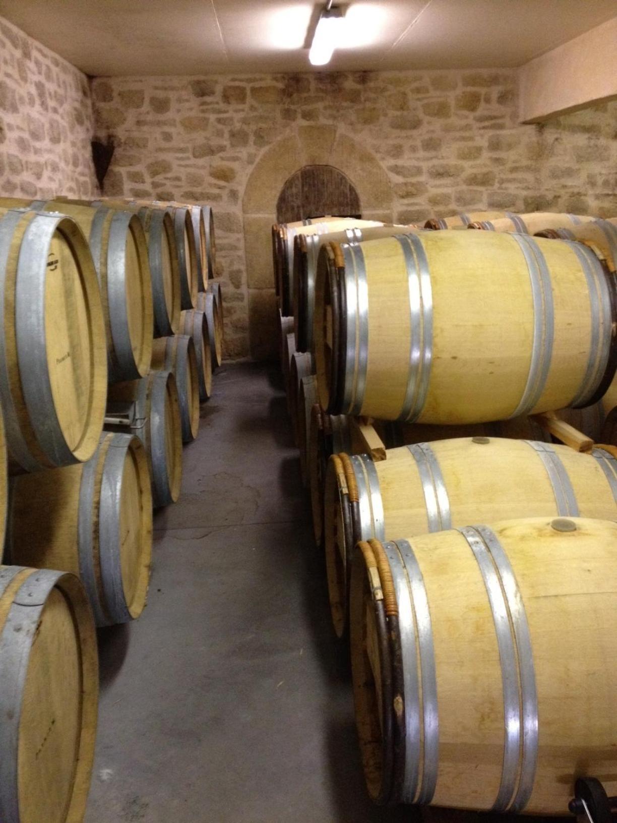 Chateau De Valloubiere Saint-Jean-de-Fos Buitenkant foto
