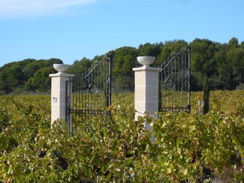 Chateau De Valloubiere Saint-Jean-de-Fos Buitenkant foto