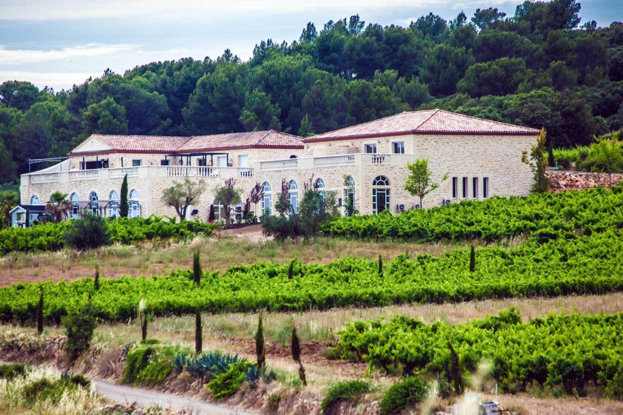 Chateau De Valloubiere Saint-Jean-de-Fos Buitenkant foto